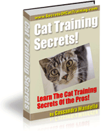 Cat Training Secrets